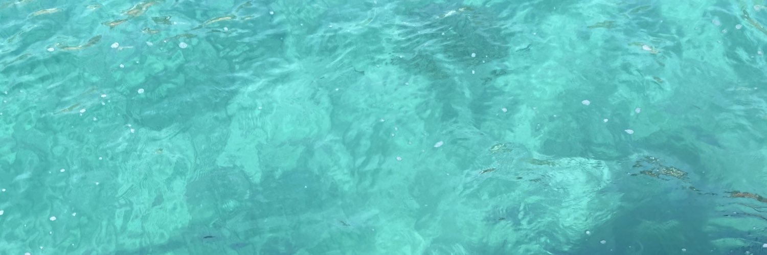 nuriantunez's profile banner image