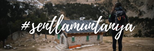 FEEC_cat Profile Banner
