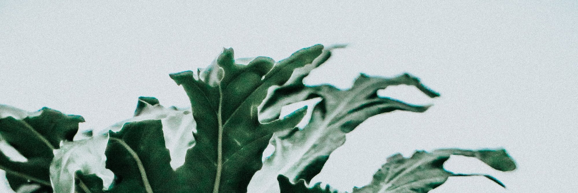 cesar_rdgz's profile banner image