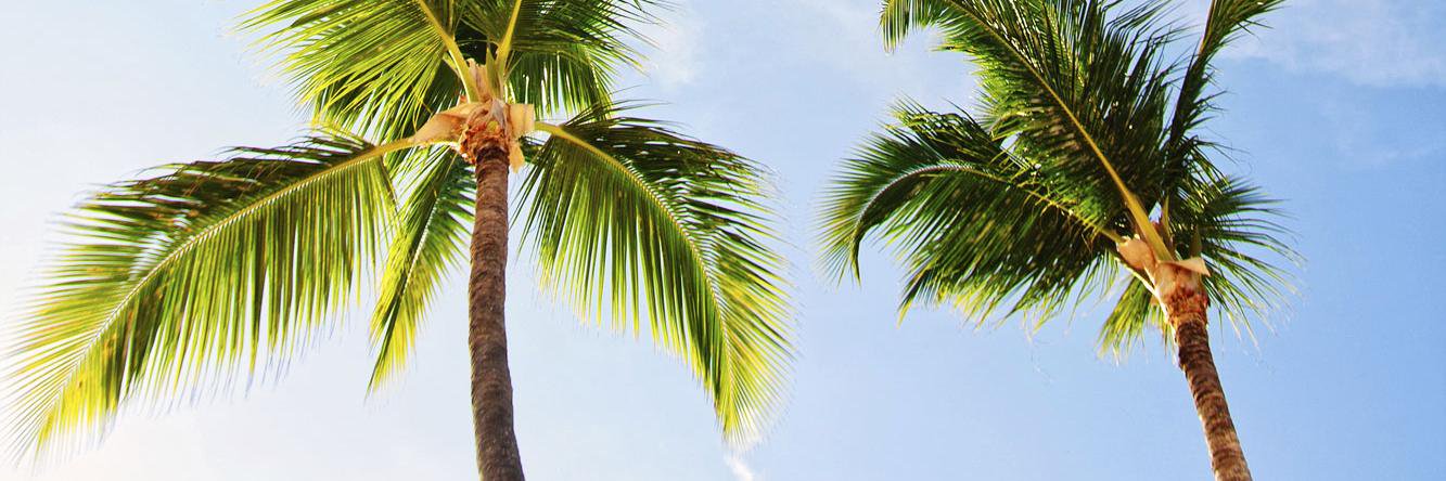 SundayTimesTravelMag banner