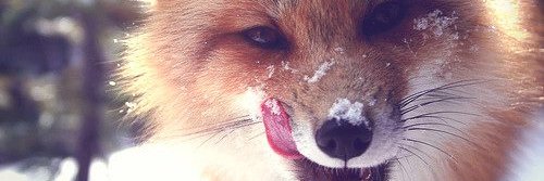 JayneMacManus's profile banner image