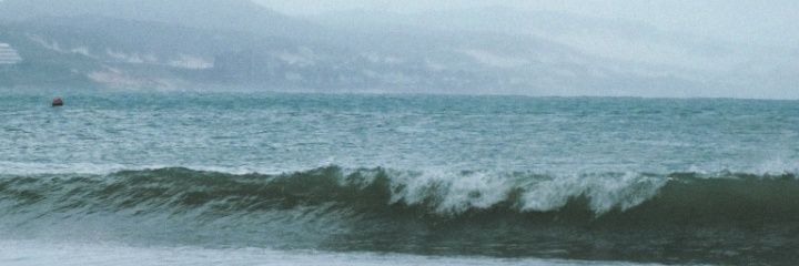 marianadnzz's profile banner image