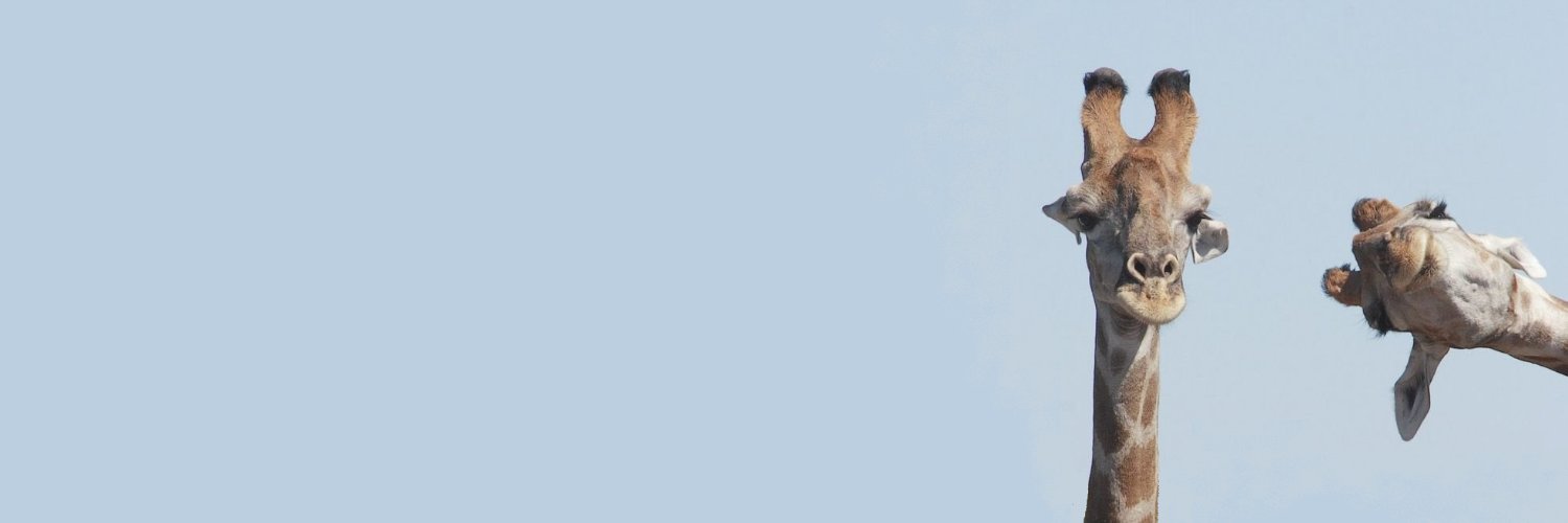 willzorrer's profile banner image