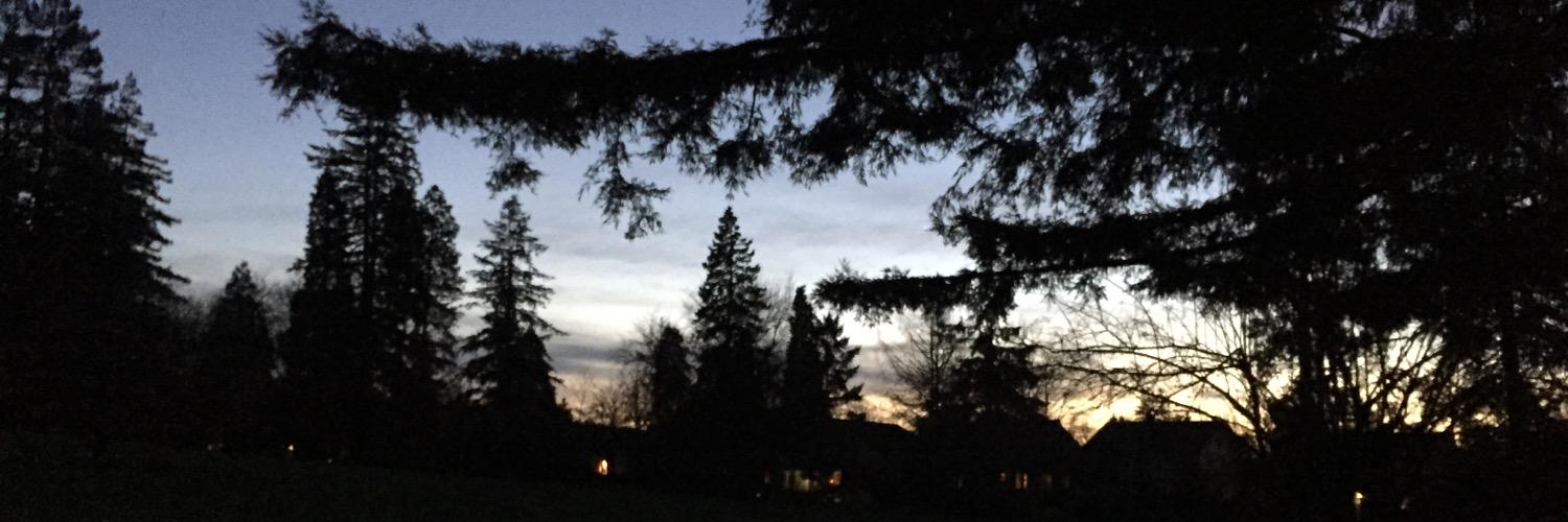 juliaastaa's profile banner image