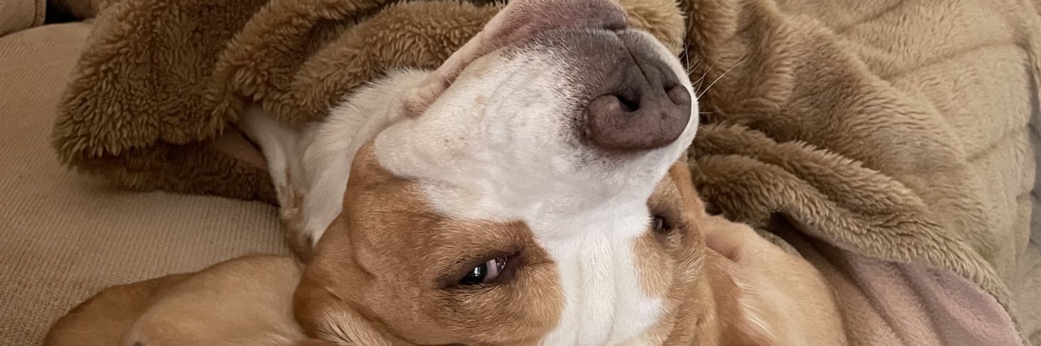 AfonsoBentesR's profile banner image