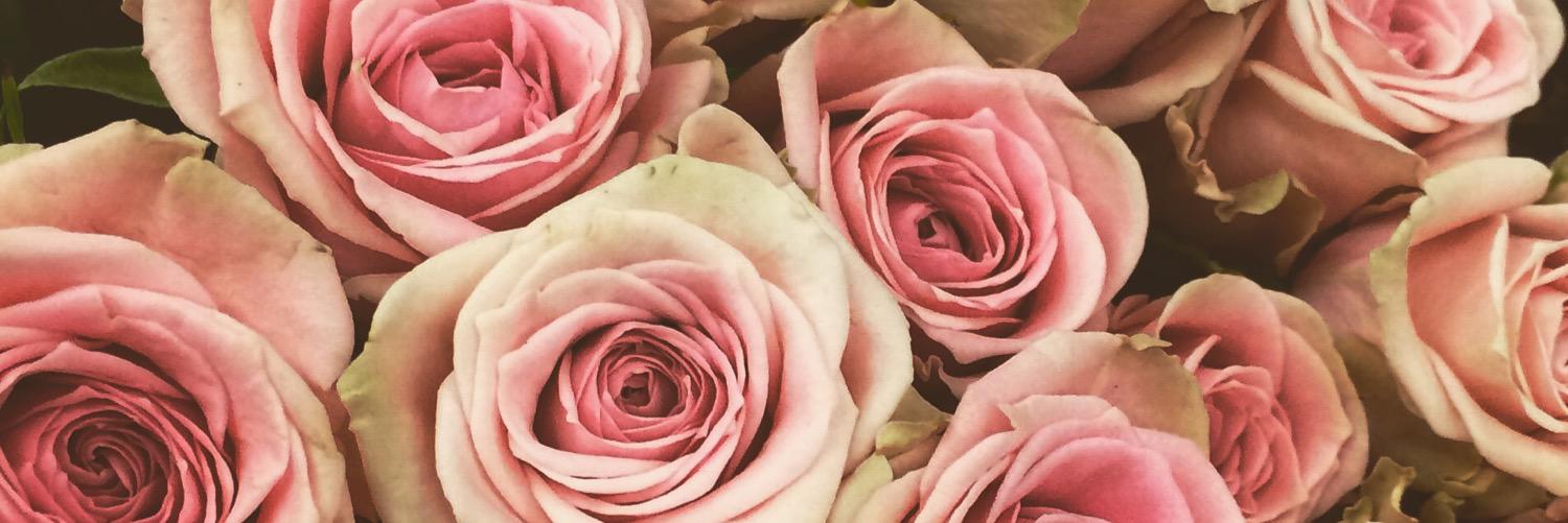 MarlainaMusic's profile banner image