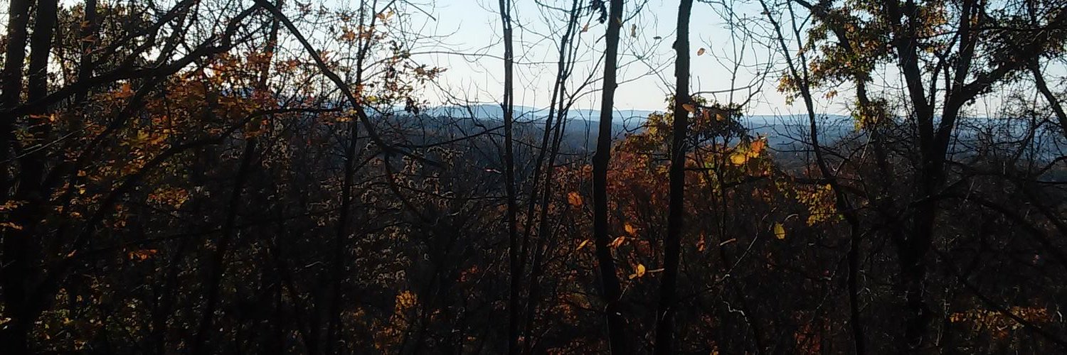 JamesMitchells5's profile banner image
