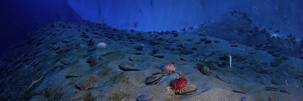 Ocean Leadership banner