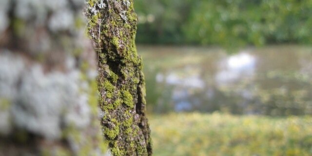 VCMPfotografie's profile banner image