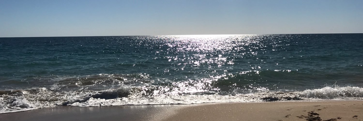 RebeloFX's profile banner image