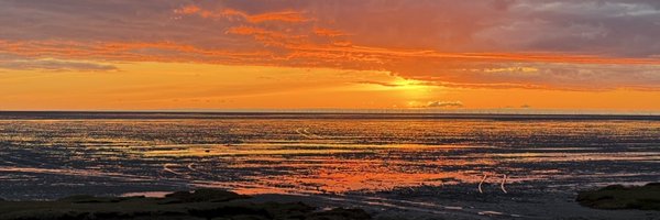 TheYorksTimes Profile Banner