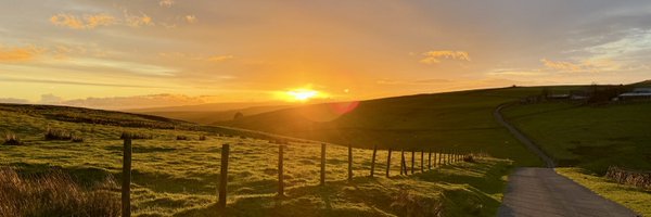 TheYorksTimes Profile Banner