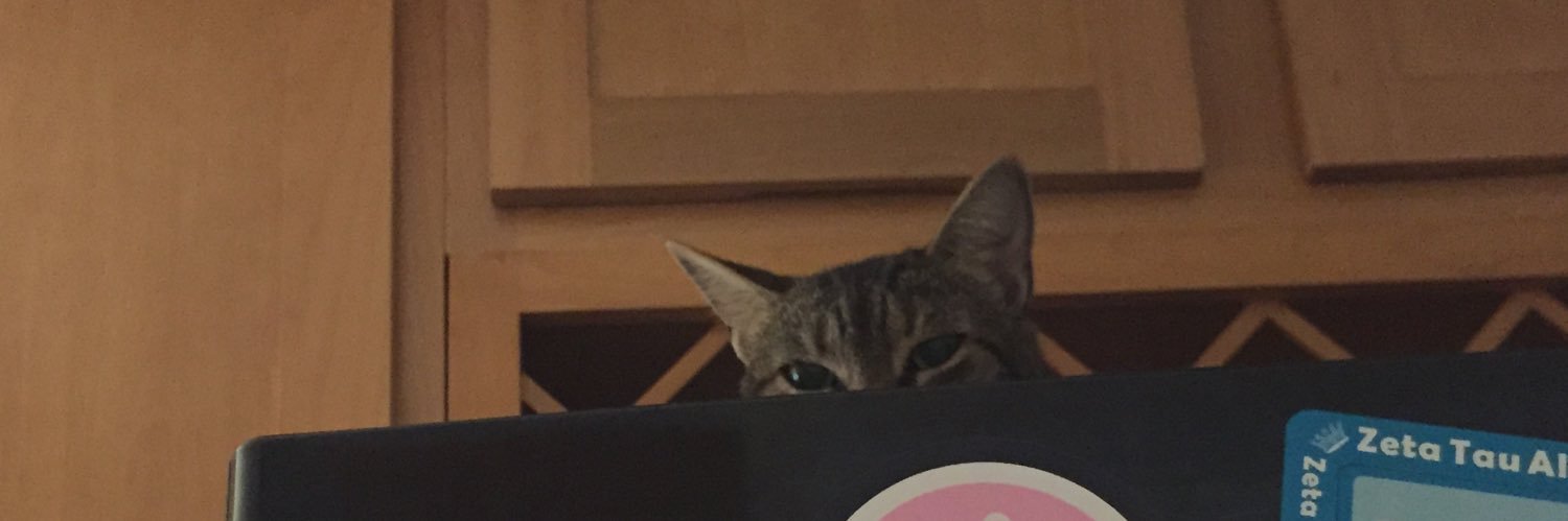 DevNherKitty's profile banner image