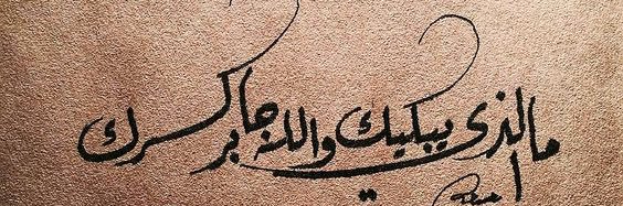 فَـراشَـةُ الأحْــلام 🦋 banner