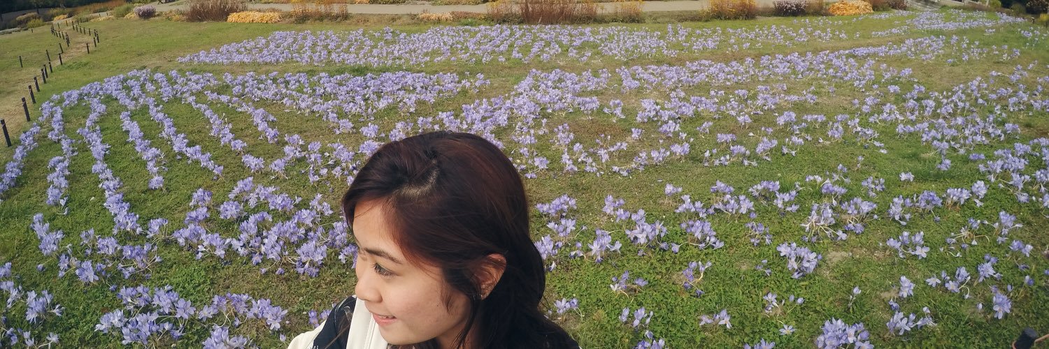 JUNKOnunez's profile banner image