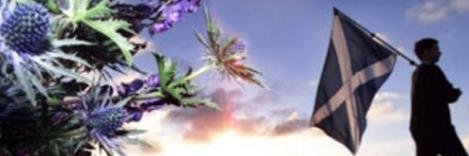 Lexie152's profile banner image