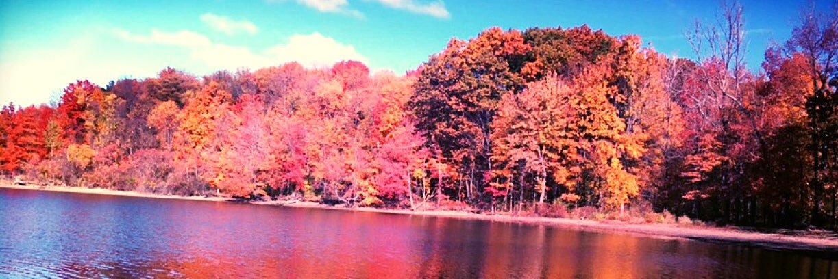 natalie_foltz's profile banner image