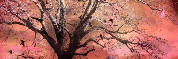 MallM04's profile banner image
