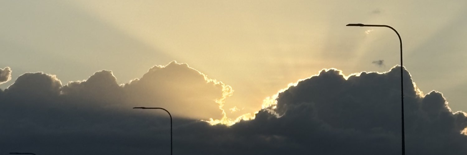 uelleleo's profile banner image