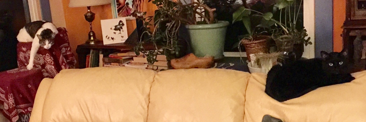 rawkergrrrl's profile banner image