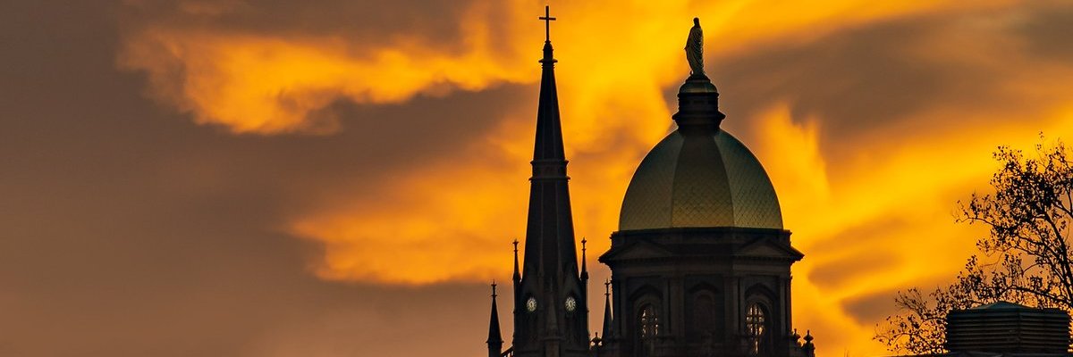 danb7983's profile banner image