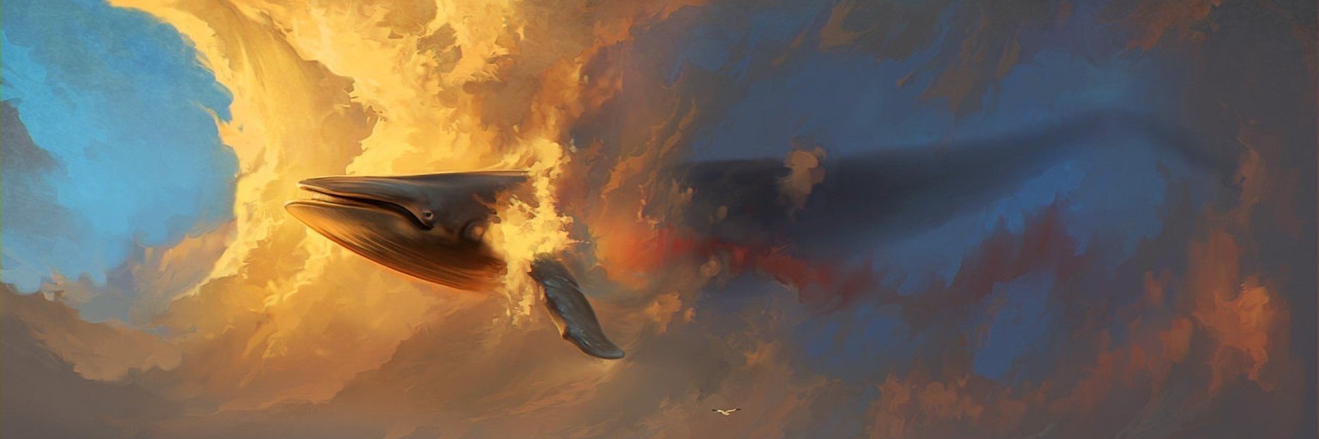 AfriLiber's profile banner image