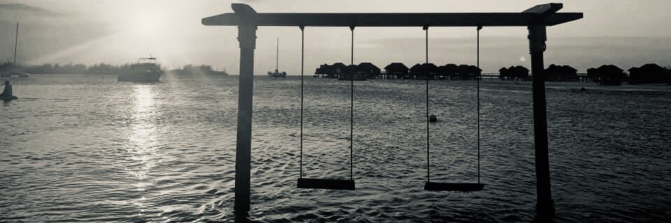 ammeymc's profile banner image