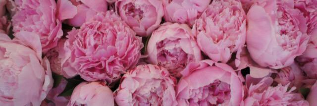catherineHern11's profile banner image