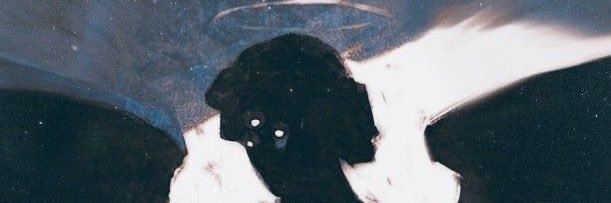 adelaexx69's profile banner image