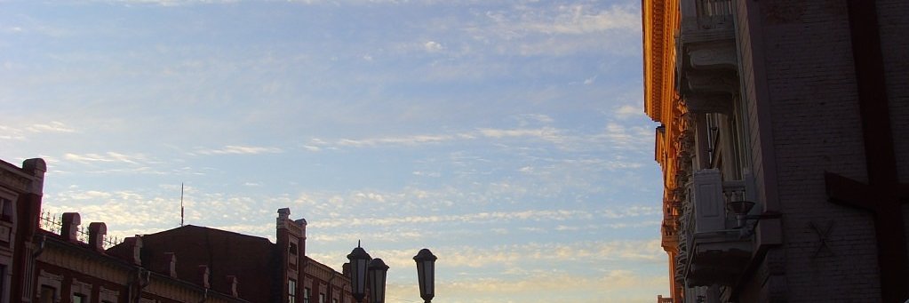 Natalya banner
