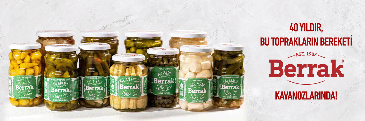 berrakailesi's profile banner image