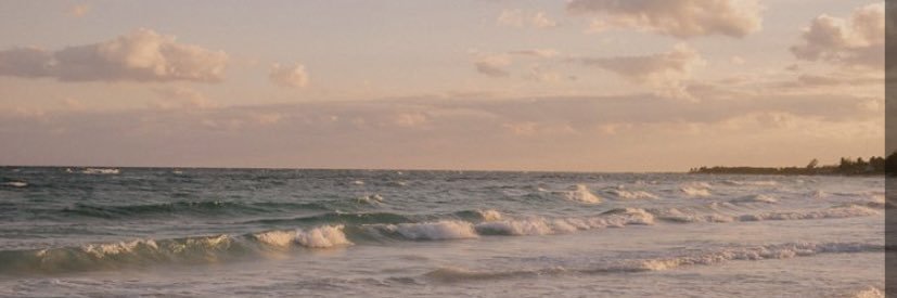 jadewales's profile banner image