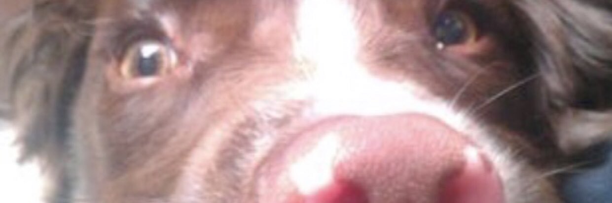 natnutbrown's profile banner image