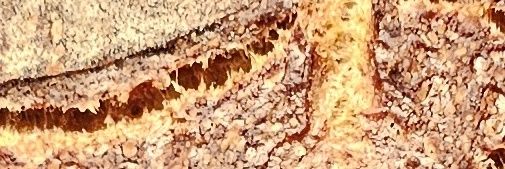 sobugax's profile banner image