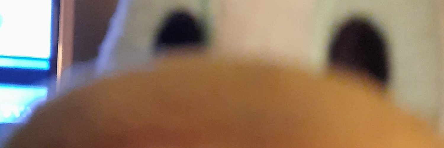 RadioGamingOW's profile banner image
