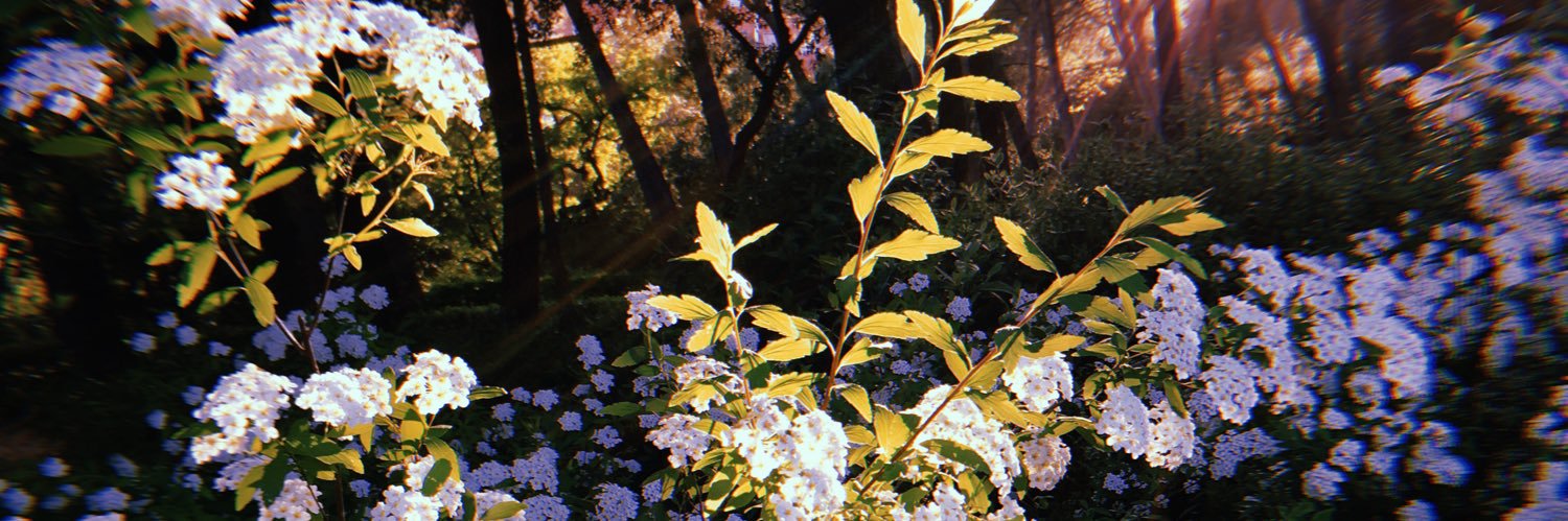 E_onra's profile banner image