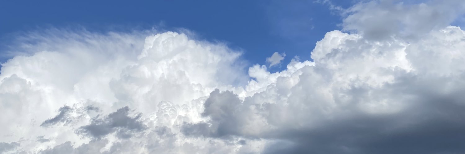 alinasone's profile banner image