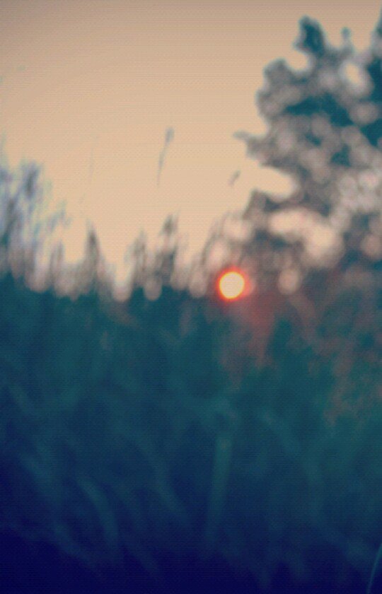 WhoIsBerme's profile banner image