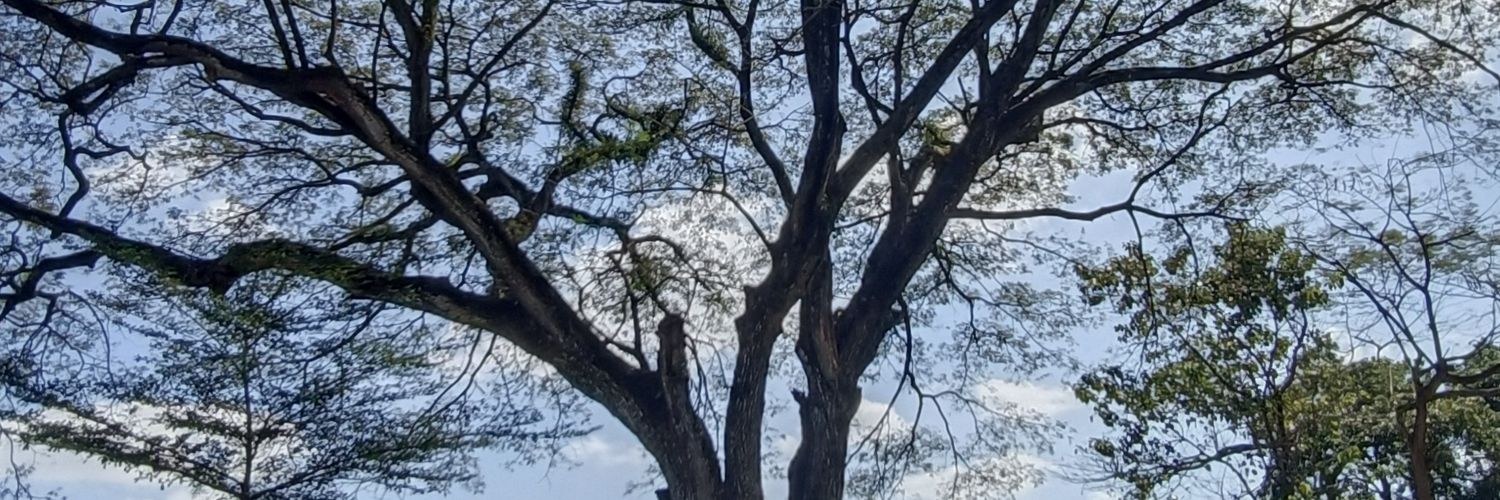 uutsenang's profile banner image