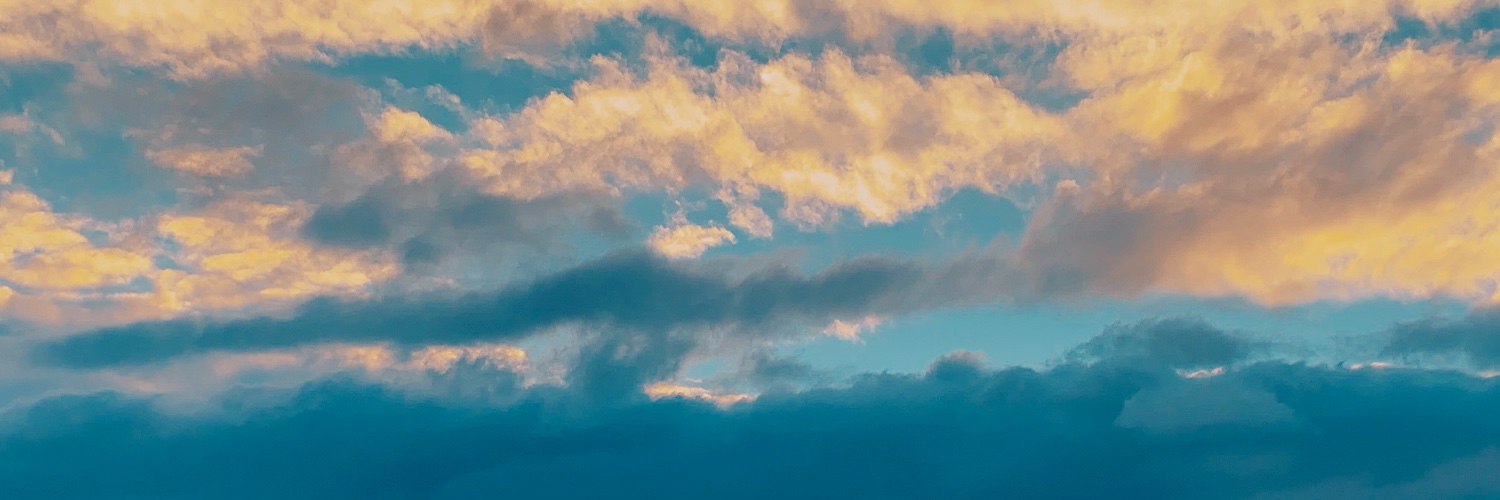 fader_dragon's profile banner image