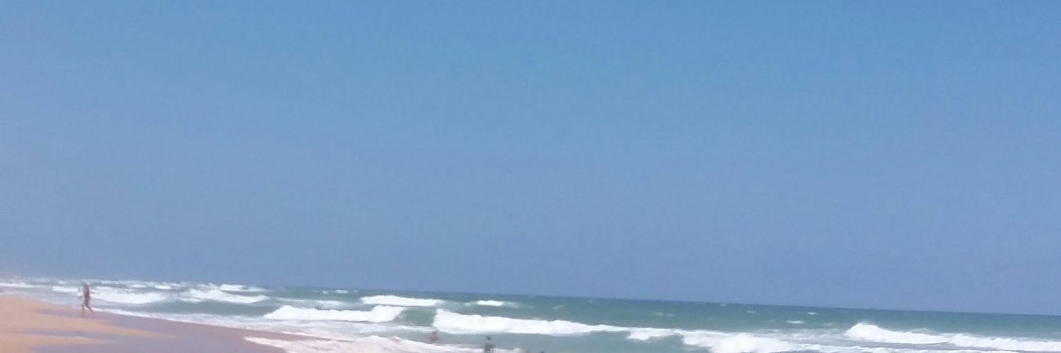 FlaviusPeu's profile banner image
