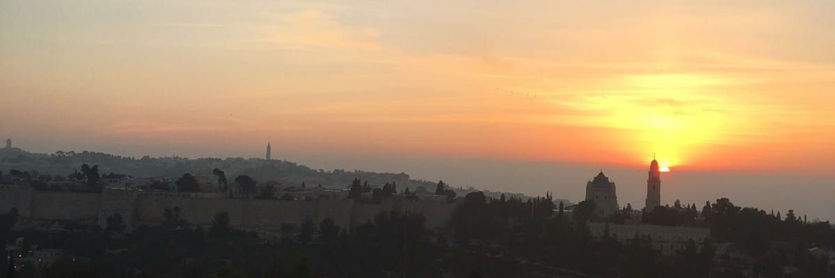 juliaferlo's profile banner image