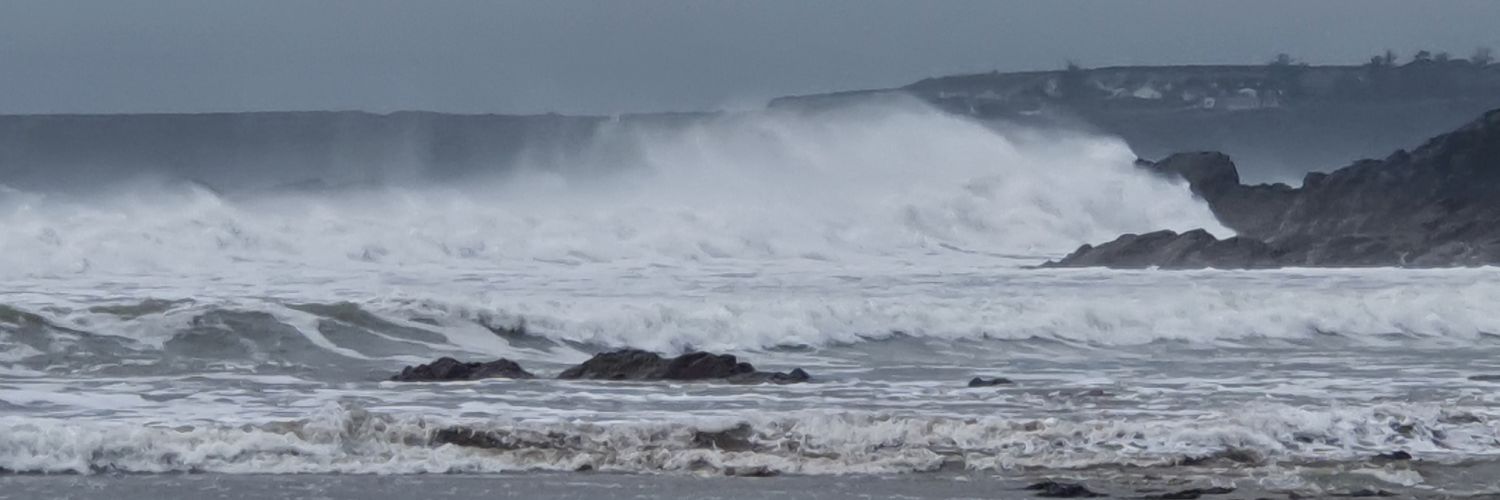 Michael Murphy banner