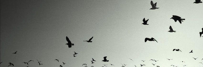 leegulistan's profile banner image