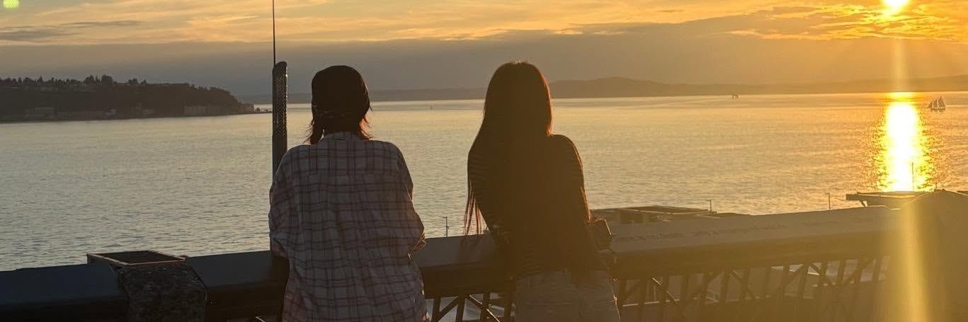 pcr_zip's profile banner image