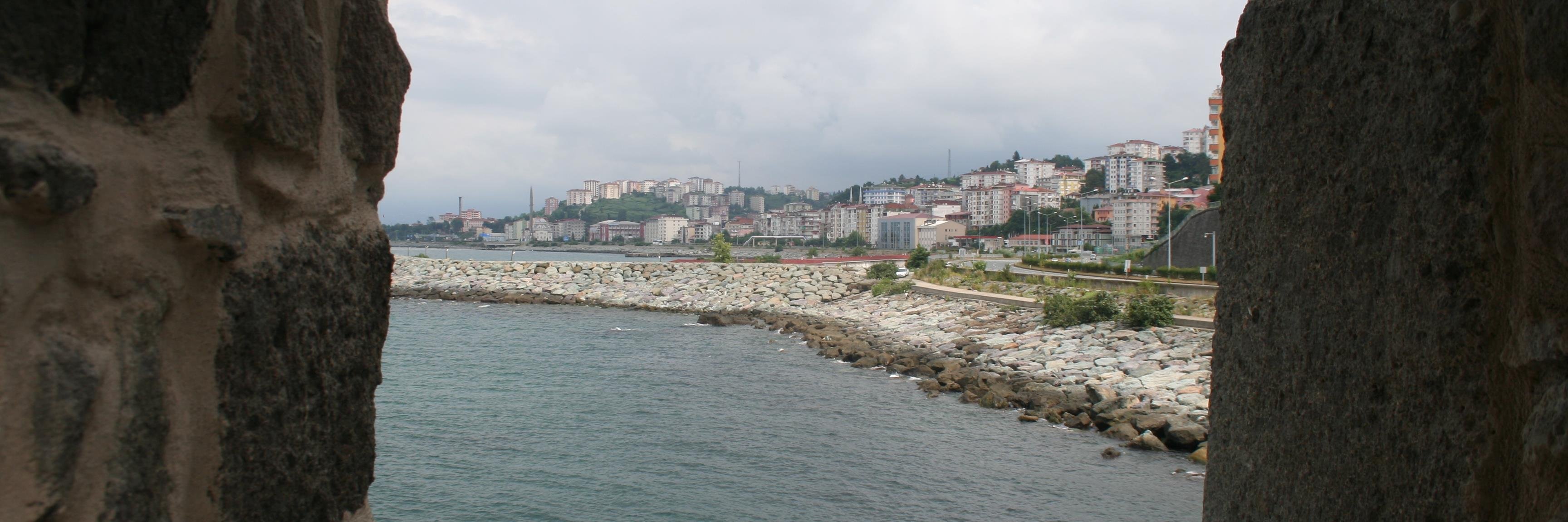 rizepazar's profile banner image