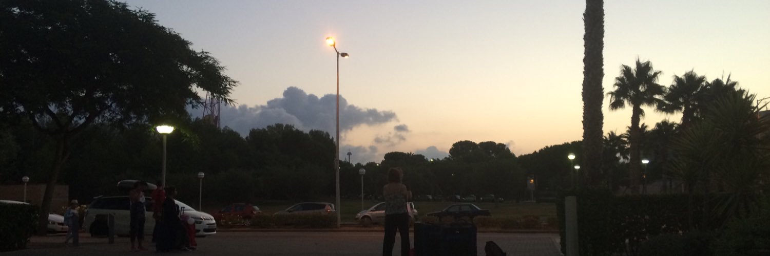 steffwalt95's profile banner image