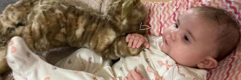 KimberlyMoore__'s profile banner image