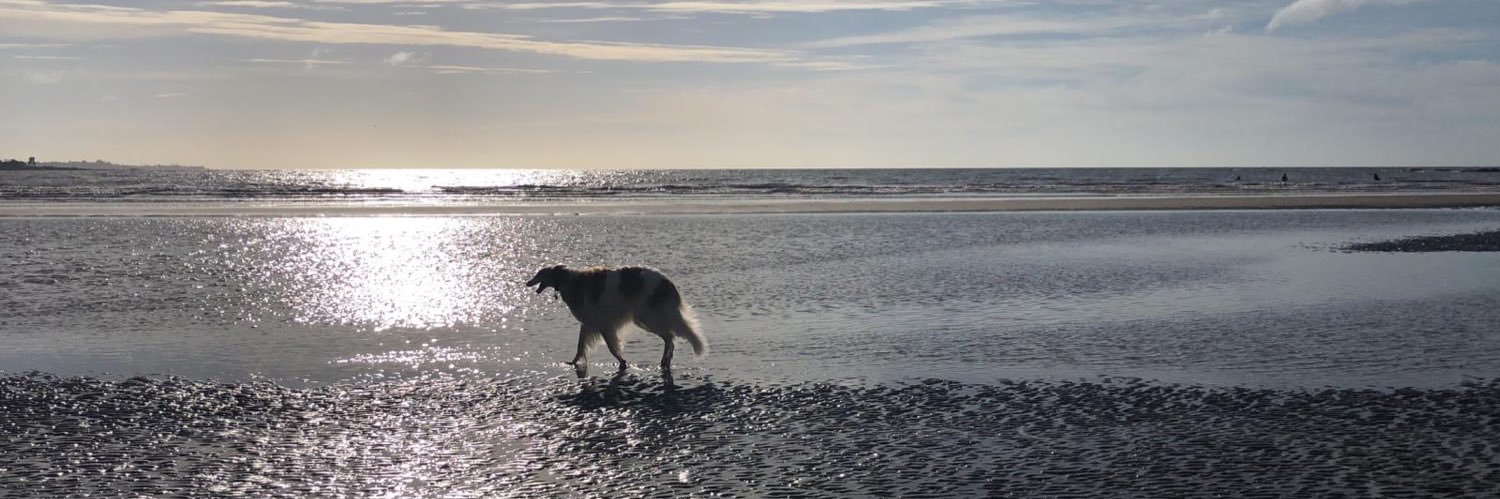 Bernardo Wolloch banner