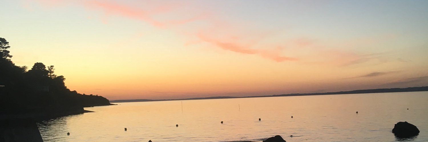 lelitchie's profile banner image